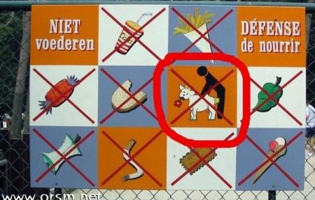 qui a mis ca ici