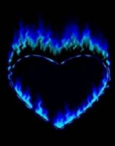 amour