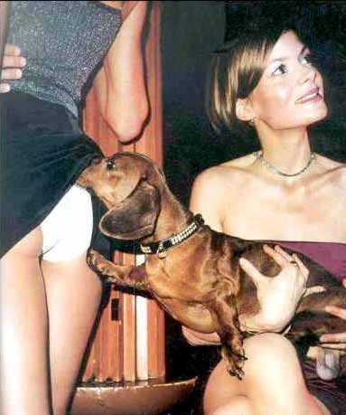 attention au chiens!!!